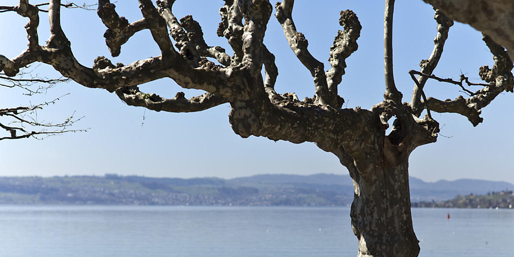 Rentnerinnen und Rentner geniessen die Aussicht auf den See - der Lebensstandard von Pensionierten in OECD-L&auml;ndern ist so hoch wie noch nie. (Symbolbild)