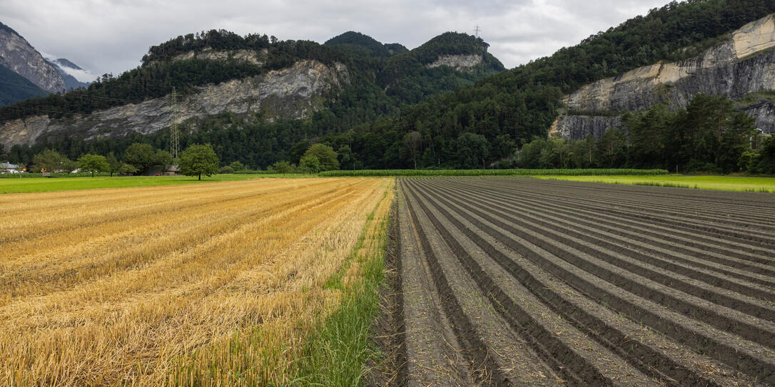 Landwirtschaft