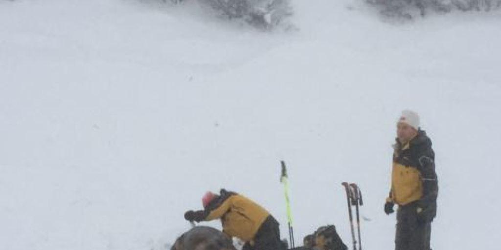 Mann und Hund auf der Suche nach allfälligen Verschütteten im Pizolgebiet. Wahrscheinlich haben die Schneemassen niemanden unter sich begraben. Mann und Hund auf der Suche nach allfälligen Verschütteten im Pizolgebiet. Wahrscheinlich haben die Schneemassen niemanden unter sich begraben.