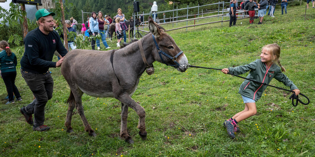 Eselfest in Malbun