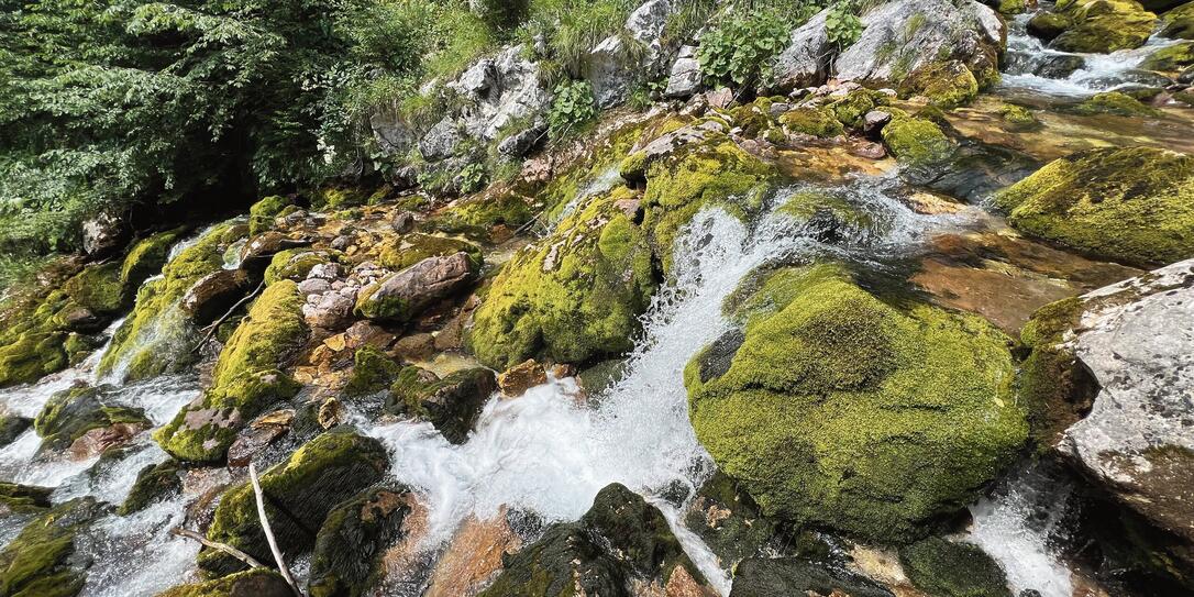 The course of the Soča River immediately after its source (Triglav National Park, Slovenia) - Der Lauf des Flusses Soca unmittelbar nach seiner Quelle (Nationalpark Triglav, Slowenien)