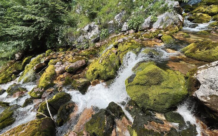 The course of the Soča River immediately after its source (Triglav National Park, Slovenia) - Der Lauf des Flusses Soca unmittelbar nach seiner Quelle (Nationalpark Triglav, Slowenien)