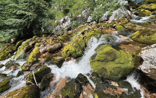 The course of the Soča River immediately after its source (Triglav National Park, Slovenia) - Der Lauf des Flusses Soca unmittelbar nach seiner Quelle (Nationalpark Triglav, Slowenien)