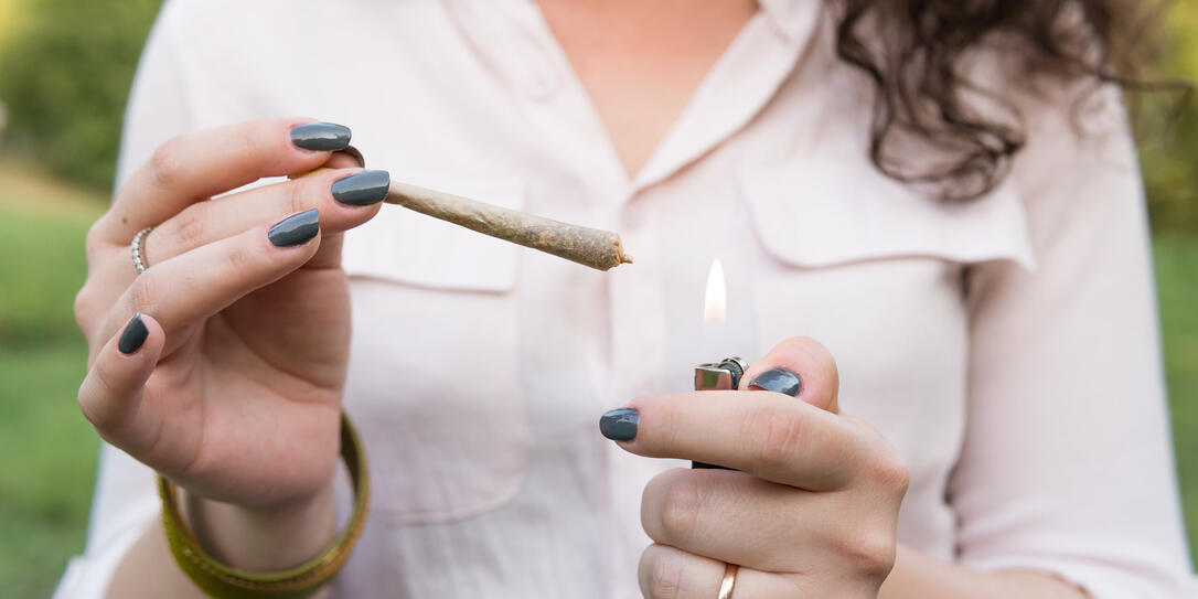 Cannabis Cannabis