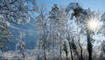 231203 Winter Impressionen in Balzers, Triesen, Triesenberg - Schnee, Burg Gutenberg, See, Triesenberg, UFL