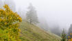 Herbst im Land