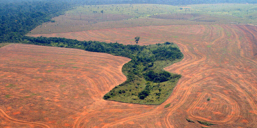Die Abholzug des Regenwaldes in Brasilien hat seit dem Amtsantritt von Pr&auml;sident Jair Bolsonaro weiter zugenommen. (Symbolbild)
