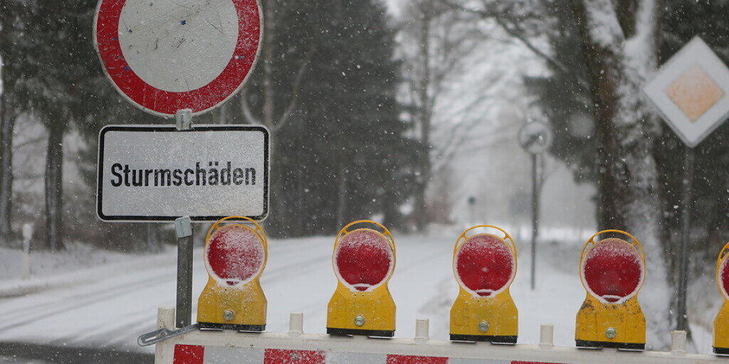 Umgestürzte Bäume sorgen nach dem Sturmtief "Sabine" im deutschen Bundesland Sachsen-Anhalt für Verkehrseinschränkungen auf den Strassen.