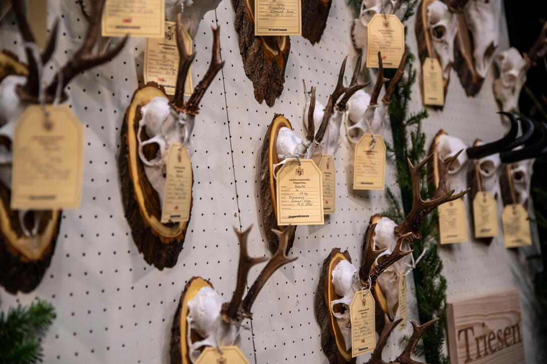 Hegeschau, in Schaan (28.02.2026)