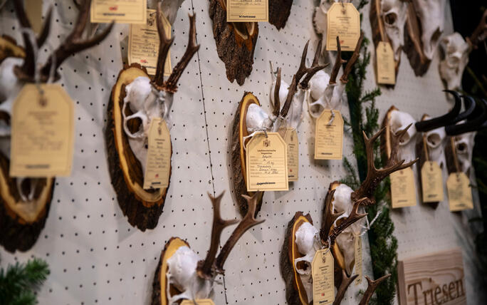 Hegeschau, in Schaan (28.02.2026)