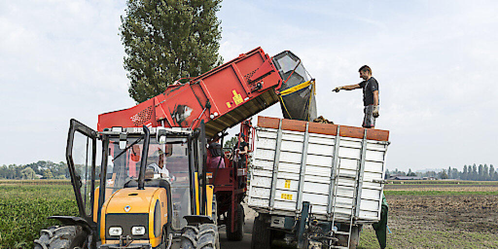 Landwirtschaftliche Betriebe sollen nach dem Willen des Nationalrates zeitlich begrenzte Steuerrückstellungen bilden können. Nun entscheidet der Ständerat über die Motion. (Symbolbild)