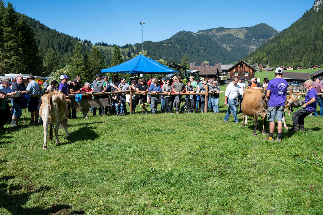 Stäger Breemimarcht, im Steg (20.09.2025)