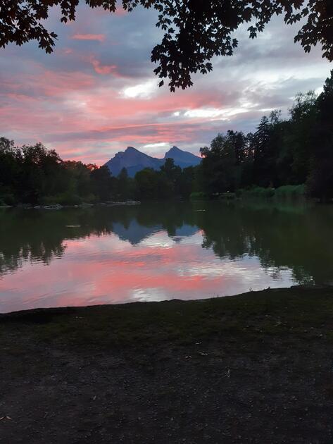 die schönsten Sommerfotos (Juli) 2022