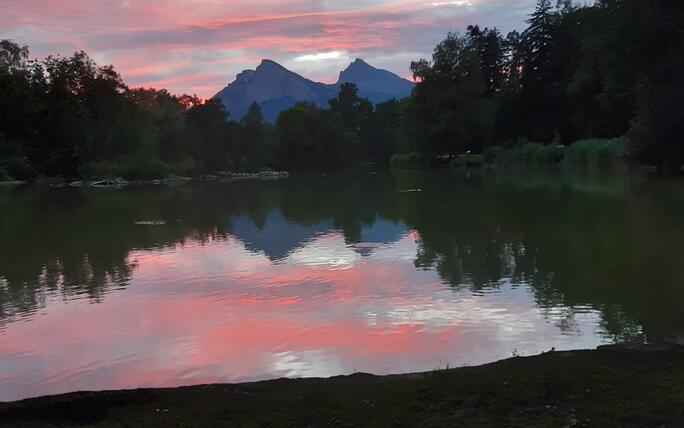 die schönsten Sommerfotos (Juli) 2022