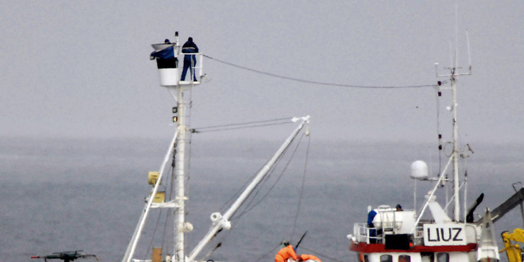 Dieses Foto von Tierschützern zeigt ein norwgisches Walfangboot. (Archiv) Dieses Foto von Tierschützern zeigt ein norwgisches Walfangboot. (Archiv)