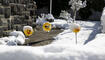 Schnee im Frühling