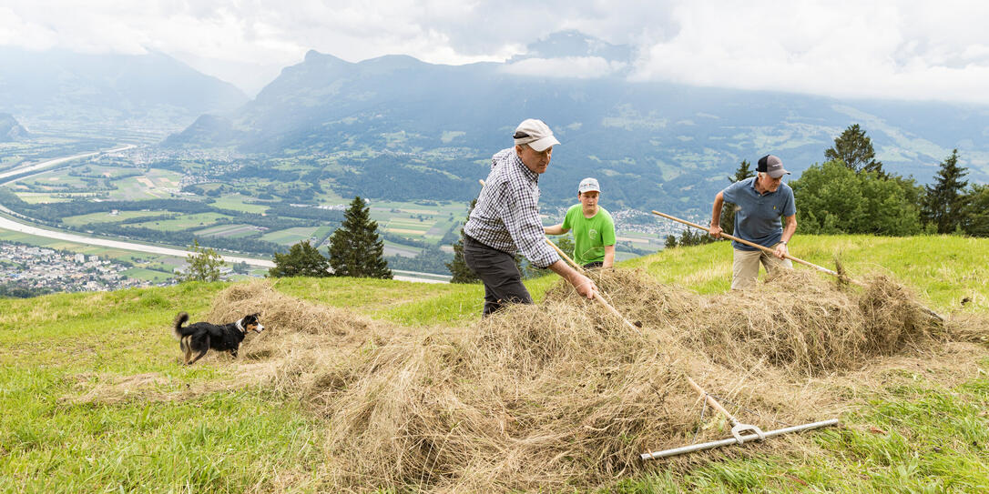 Aktion Heugabla in Triesenberg