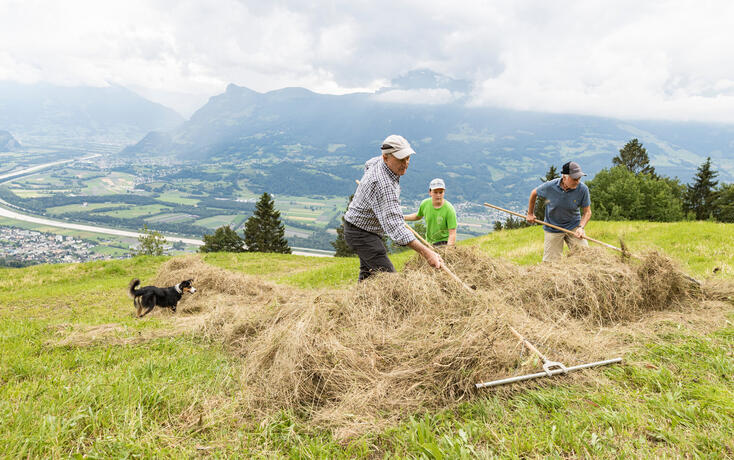 Aktion Heugabla in Triesenberg