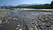 Trockener Alpenrhein