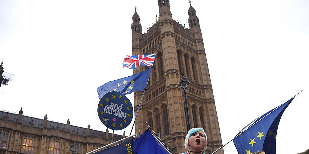 Brexit-Gegner demonstrieren am Mittwoch vor dem britischen Unterhaus in London für den Verbleib Grossbritanniens in der EU. Unterdessen debattieren die Abgeordneten über einen Misstrauensantrag gegen Premierministerin Theresa May.