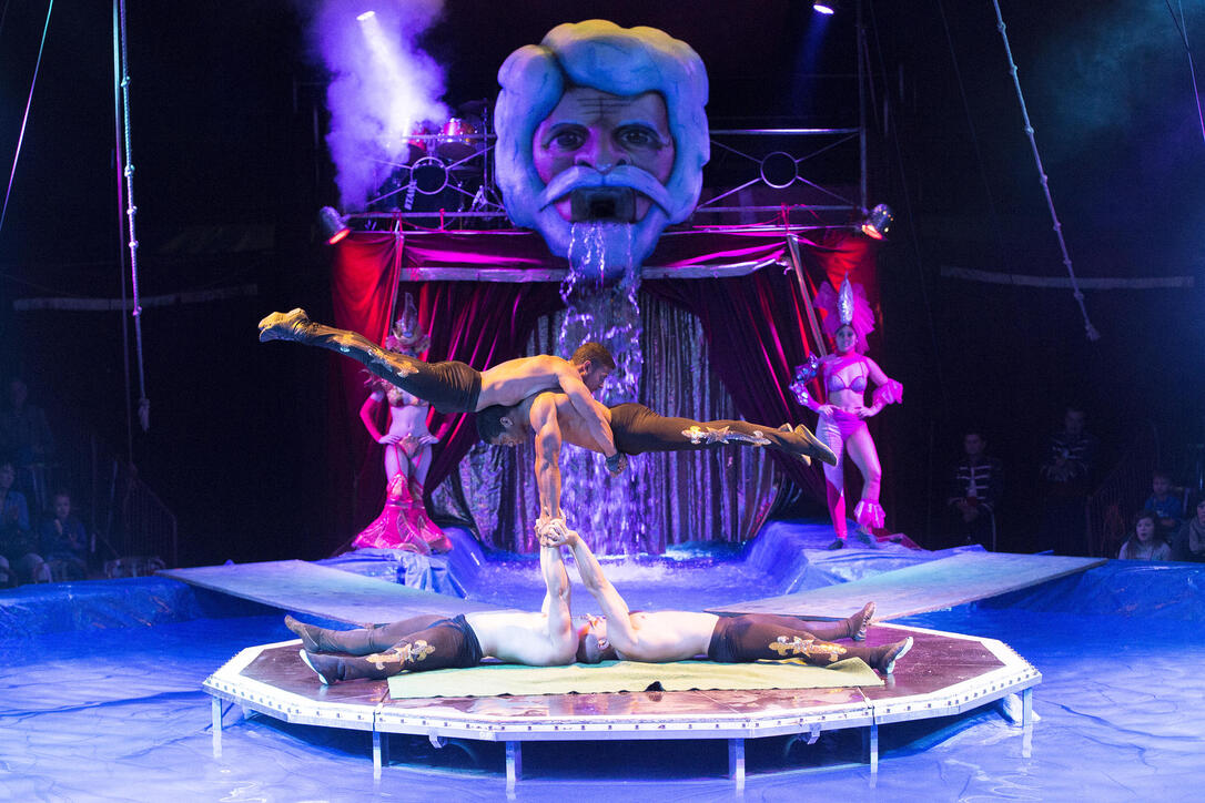 Circus Royal in Buchs