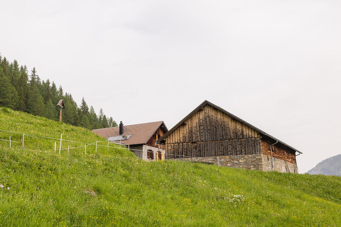 Wanderung: Steg - Alpeti - Pfälzerhütte - Malbun
