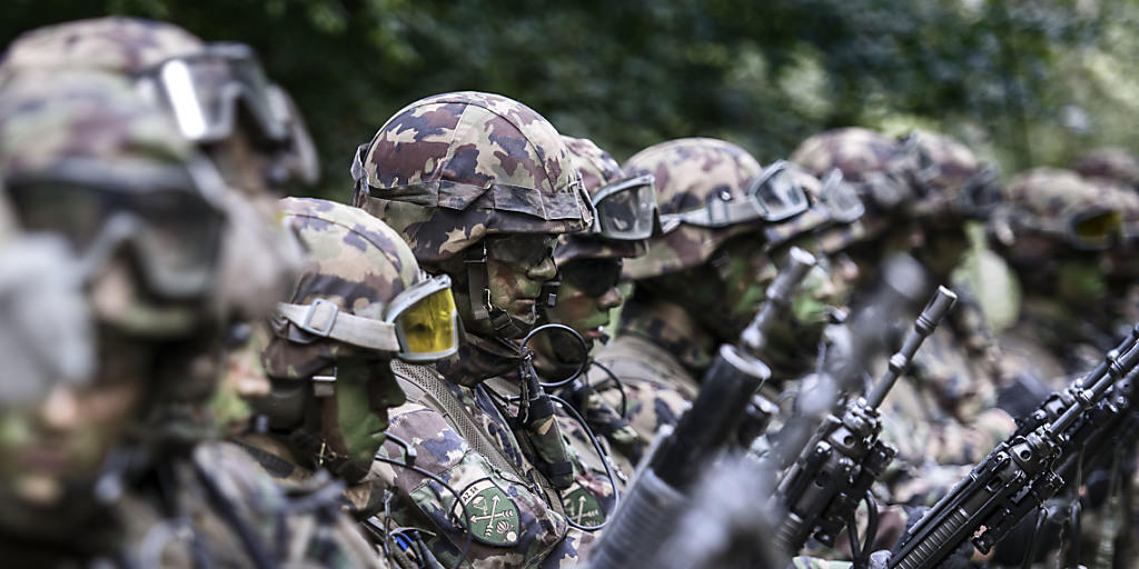 Schweizer Armee bildet Norweger aus Vaterland online