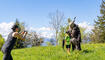 10. Sagenfest in Triesenberg (01.05.2025)