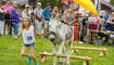 Eselfest in Malbun