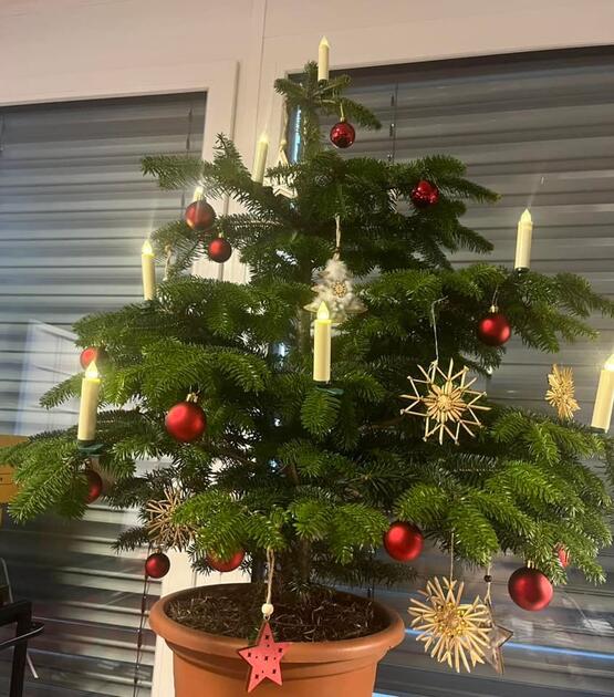 Fotowettbewerb: Zeig uns Deinen Christbaum 2022