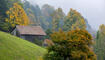 Herbst im Land