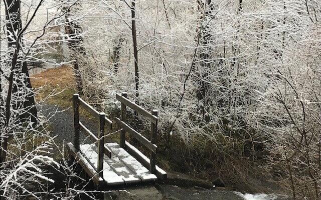 Der Lieblingsort von Trudy Wolfinger in Balzers