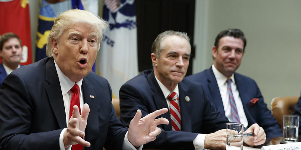 "Zu anderen Dingen übergehen": US-Präsident Donald Trump und der republikanische Abgeordnete Chris Collins machen vor der Abstimmung über die Gesundheitsreform Druck. (Archivbild)