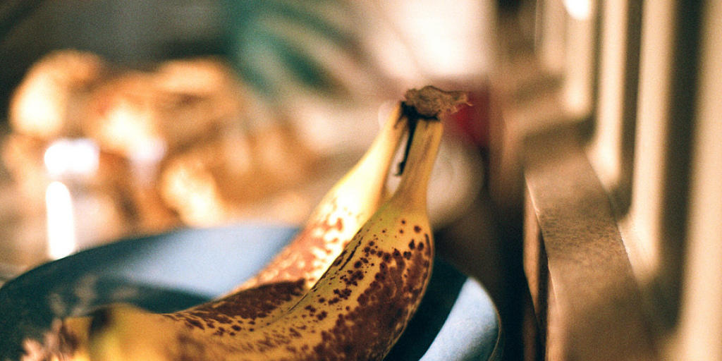 Haben als Versuchskaninchen hergehalten: Bananen als Helfer der Wissenschaft.