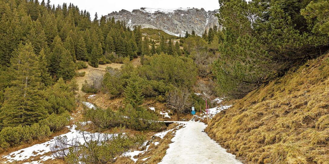 Schneemangel in Malbun