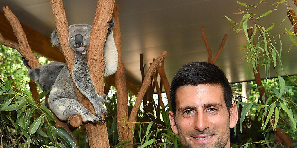 Novak Djokovic ist eines der Aushängeschilder am neu geschaffenen ATP Cup in Australien