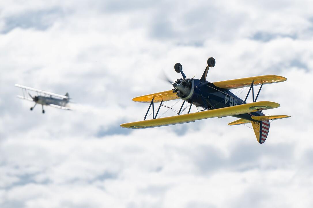 Schaufliegen Bendern