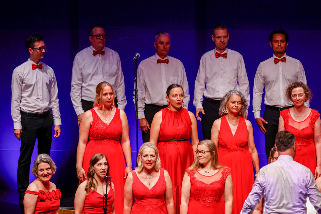 Jubil&auml;umskonzert &laquo;30 Jahre Divertimento Chor&raquo;. 20.06.2026.