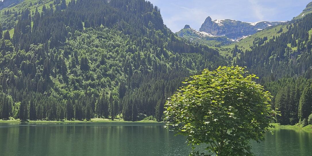 Voralpsee Voralpsee