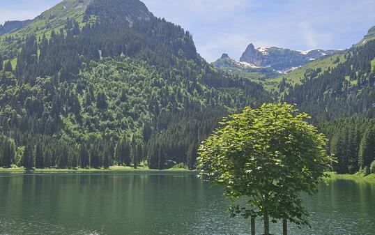 Voralpsee