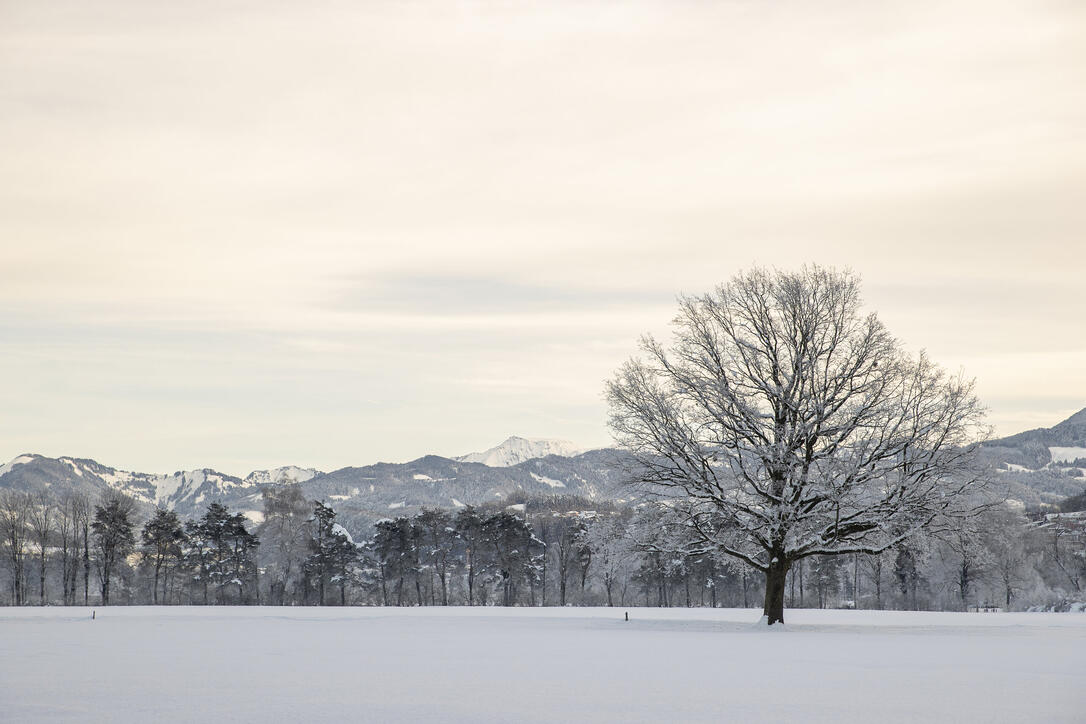 Winter-Impressionen vom 19.01.2021