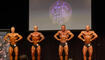IFBB Mr Universe Liechtenstein (11.04.2026)