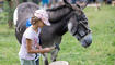 Eselfest in Malbun