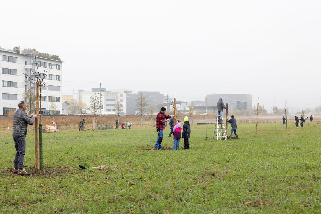 Biodiversitäts-Aktion Park Äscherle in Schaan