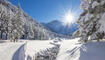 Winter in Steg