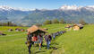 11. Sagenfestin Triesenberg (01.05.2026)