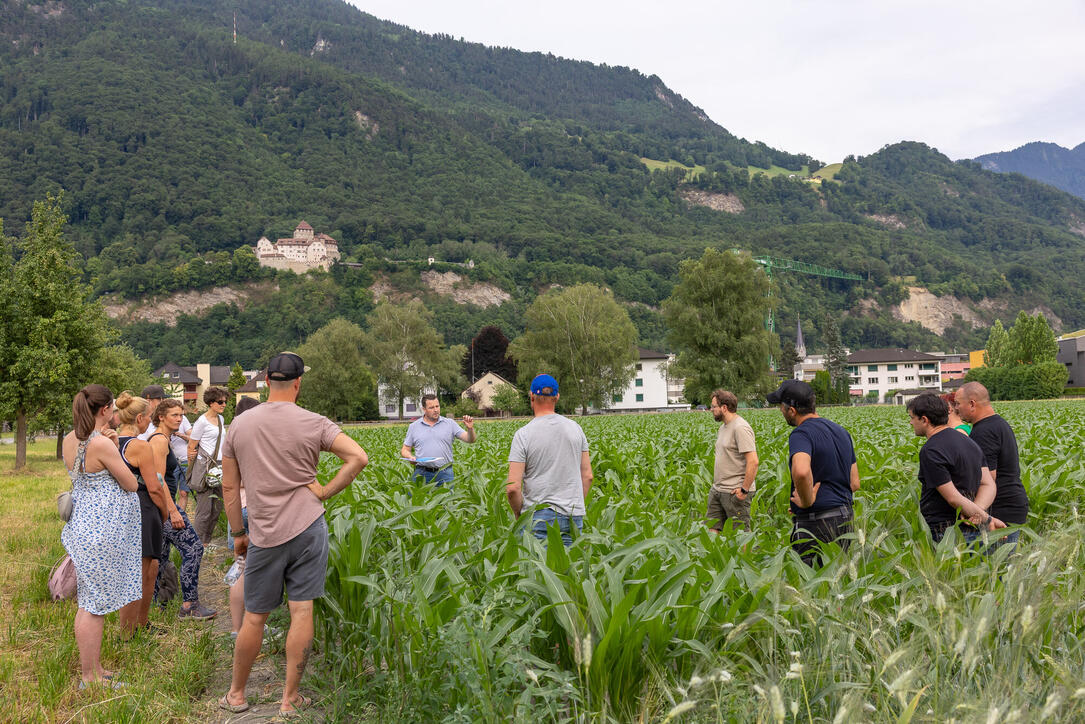 Kulinarik Feld Flurgang durch das Haberfeld in Vaduz (23.06.2026)