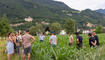 Kulinarik Feld Flurgang durch das Haberfeld in Vaduz (23.06.2026)