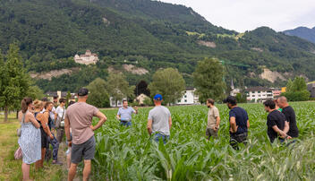 Kulinarik Feld Flurgang durch das Haberfeld in Vaduz (23.06.2026)