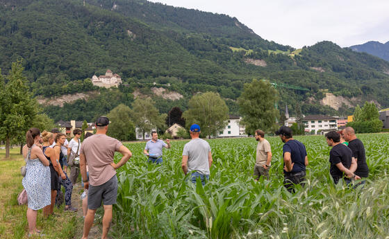 Kulinarik Feld Flurgang durch das Haberfeld in Vaduz (23.06.2026)